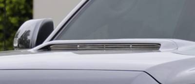 T-REX Grilles - 2012-2015 Tacoma Billet Hood Scoop, Polished, 1 Pc, Insert - Part # 20939 - Overstock - On Sale