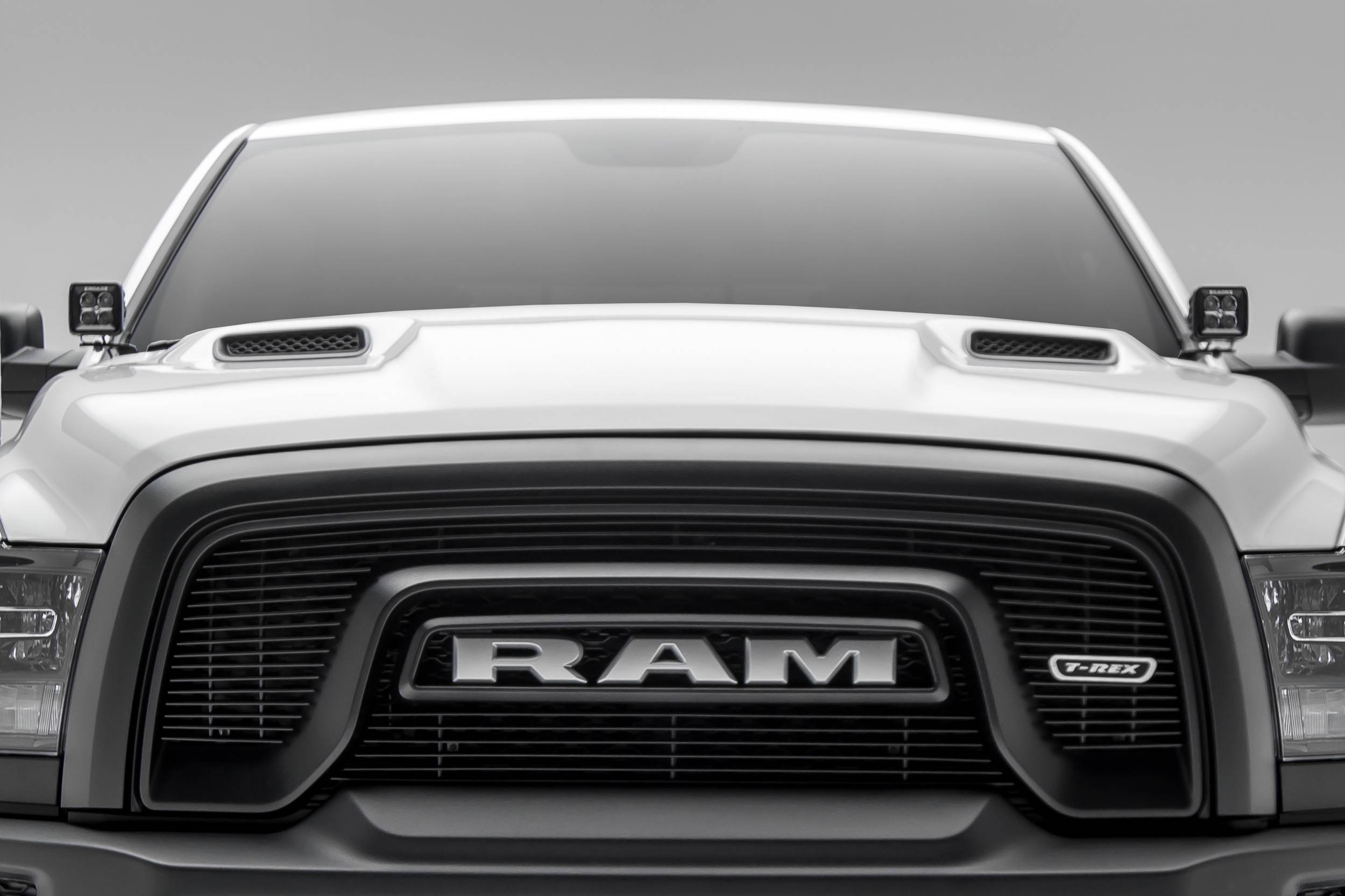 Polished Billet Grille Bumper Insert For 2015-2018 Dodge RAM Rebel 1500