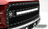How to install a T-REX Torch grille on a 2015-2017 Ford F150