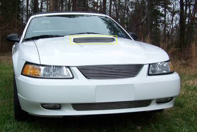 1999-2002 Ford Mustang GT Models Only Billet Hood Scoop Insert - Will not fit 03-04 Models 5 Bars - GT MODELS ONLY - Pt # 20512