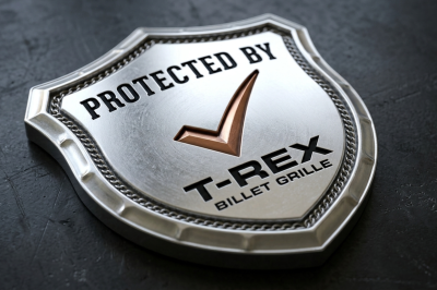 T-REX Grilles - 018-2020 F-150 Limited, Lariat Lower Bumper Protector - Radiator & AC Condenser Rock Guard - Billet Bumper Insert, Polished - Overlay - Part # 25571B - Image 8
