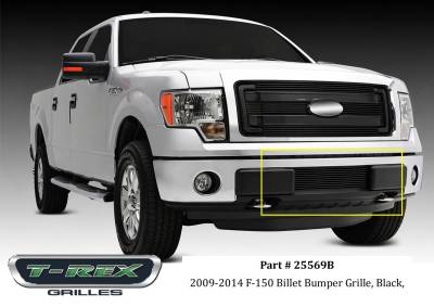 2009-2014 F-150 Billet Bumper Grille, Black, 1 Pc, Bolt-On - Lower Bumper Protector - Radiator & AC Condenser Rock Guard - Part # 25569B