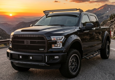 2015-2017 F-150 Stealth X-Metal Grille, Black, 1 Pc, Replacement, Black Studs - PN #6715731-BR